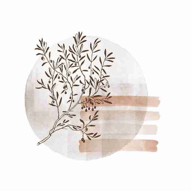 【长文】黑料每日黑幕揭晓：高能瞬间全记录